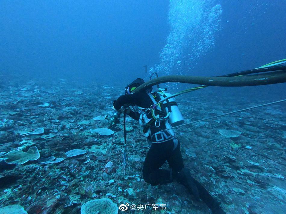 暖宝宝俏销，海外华人吃上扬州炒饭
